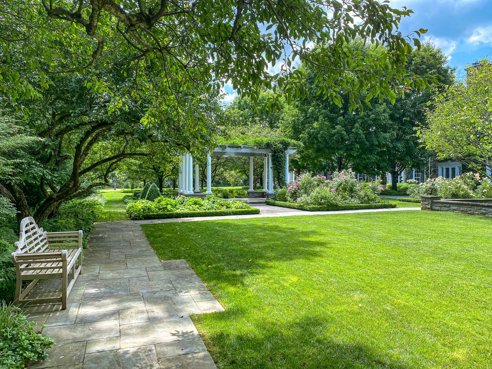 Teak bench, lawn and pergola
