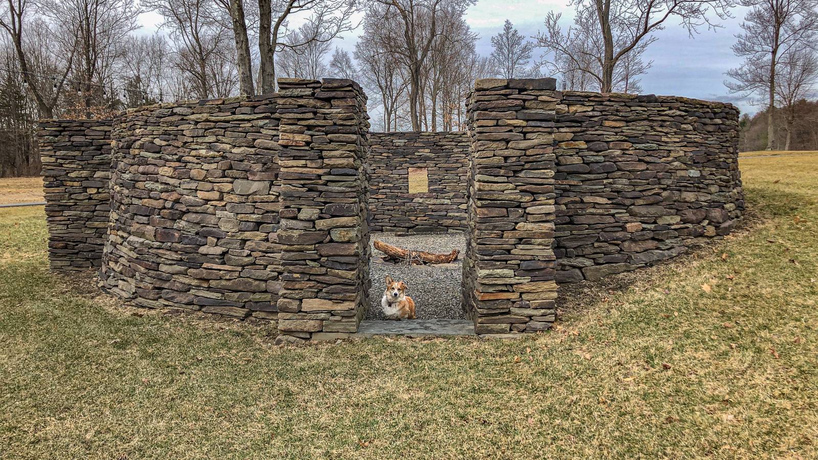 Corgi in the doorway of the stone ruin, with a window opening beyond