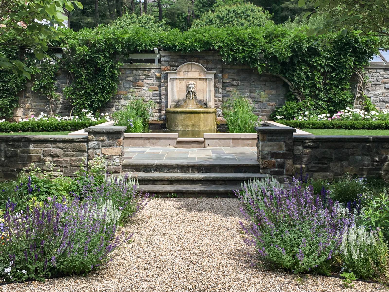 Gravel path through catmint toward a stone fountain