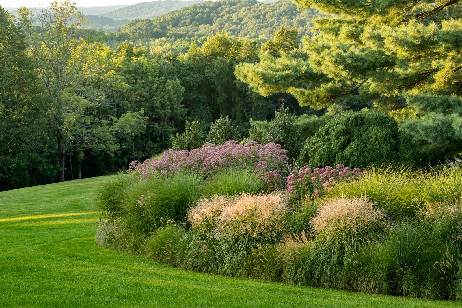 Border of grasses and pink perennials above rolling wooded hills