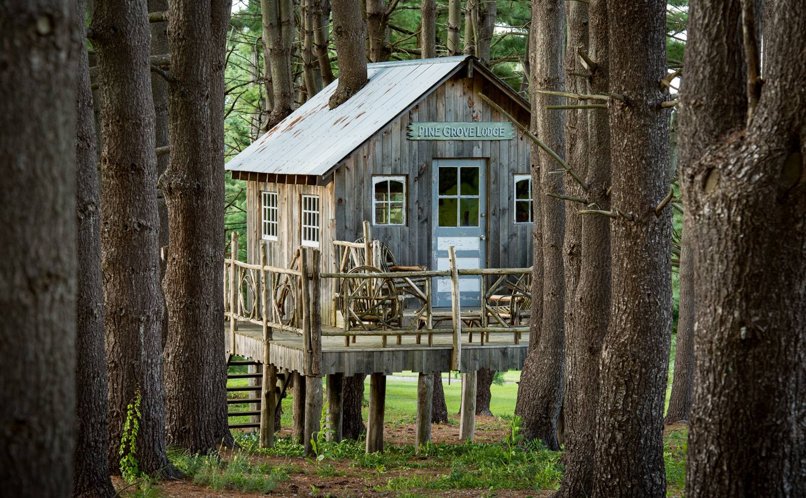 Rustic lodge on stilts among tall pines