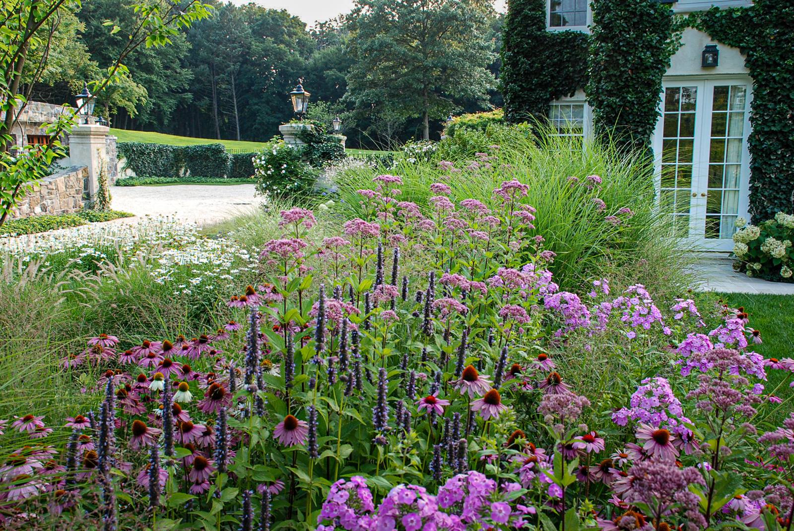 Summer border of coneflowers, phlox and purple spires beside the house
