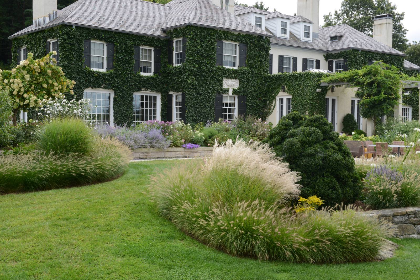 Ornamental grasses and perennials below the ivy-covered house