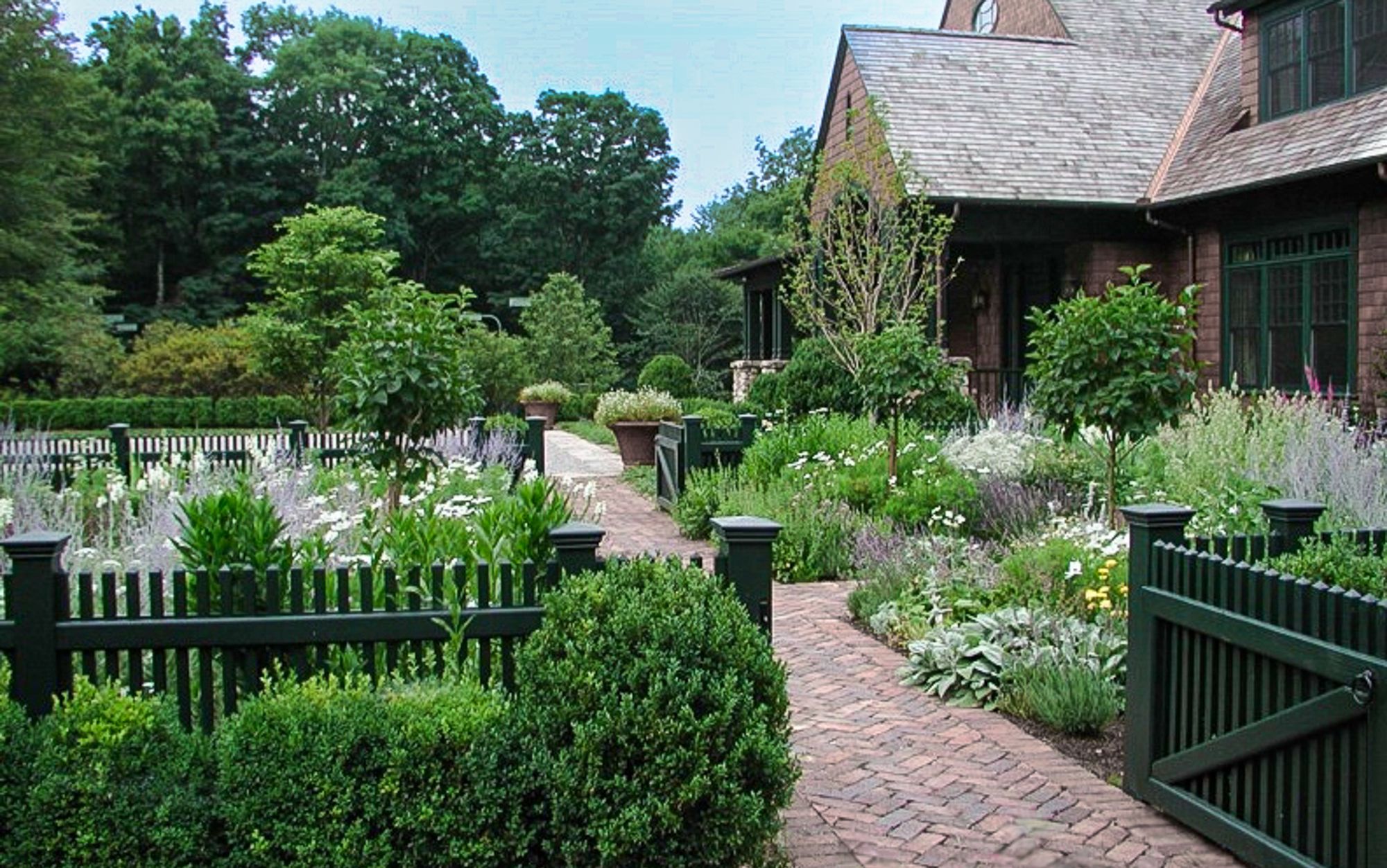 Herringbone brick path through green picket fences and cottage borders of lavender, white flowers and boxwood to a shingled house