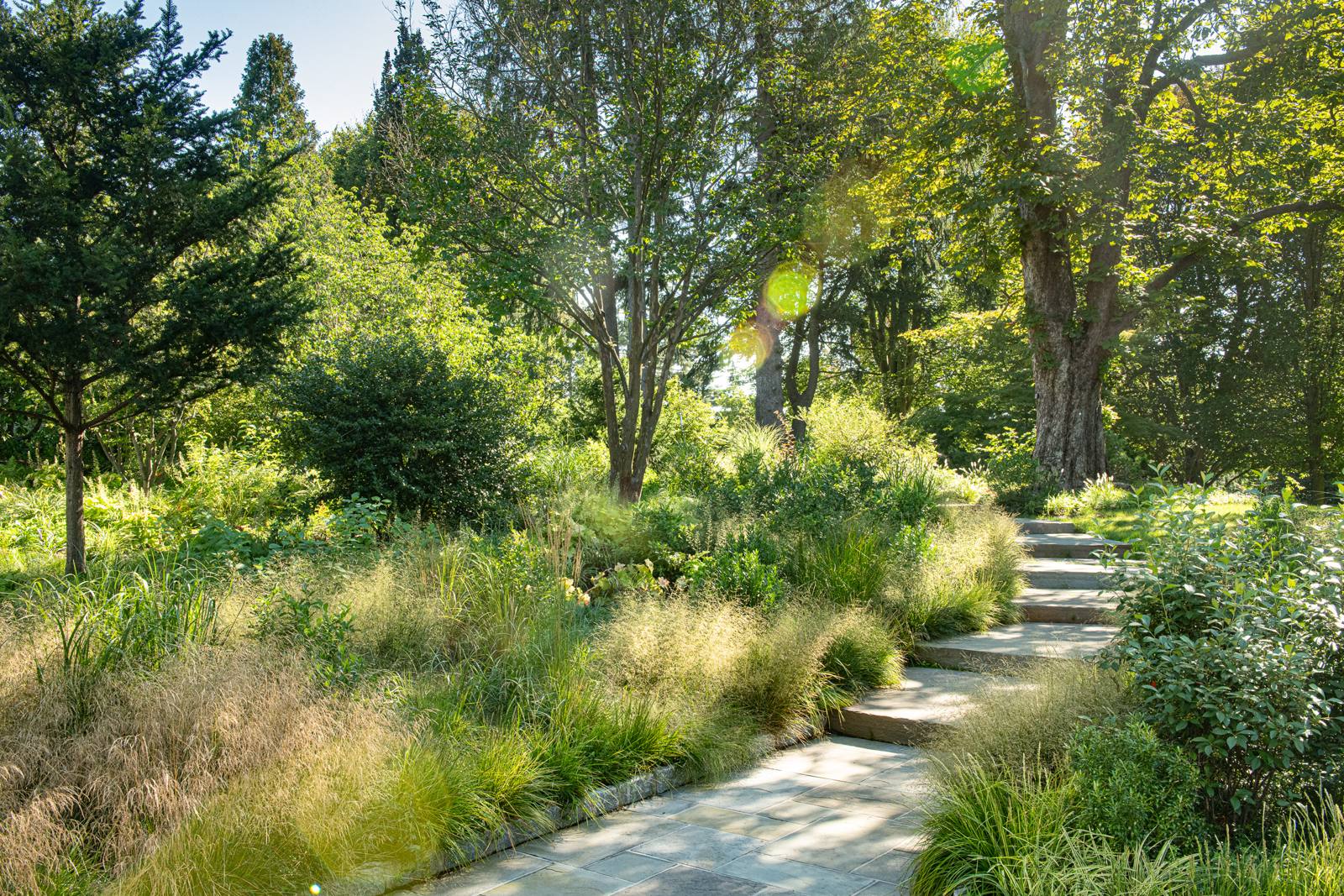 Bluestone walk and steps through grasses and woodland plantings