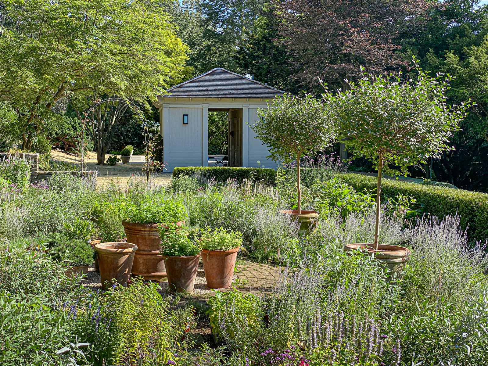 Terra-cotta pots of herbs and standard trees in front of a garden pavilion