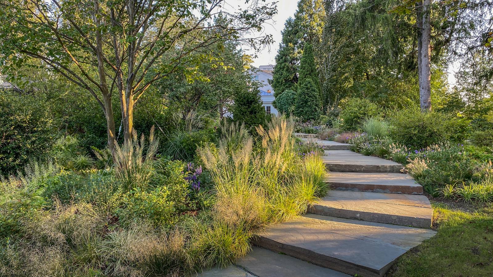 Wide bluestone steps rising through grasses toward the house