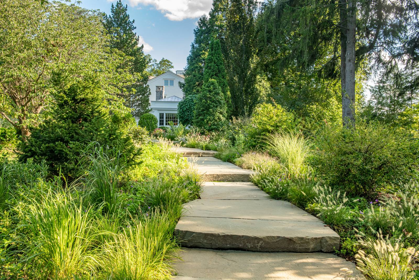 Flagstone steps leading up toward a white house through grasses