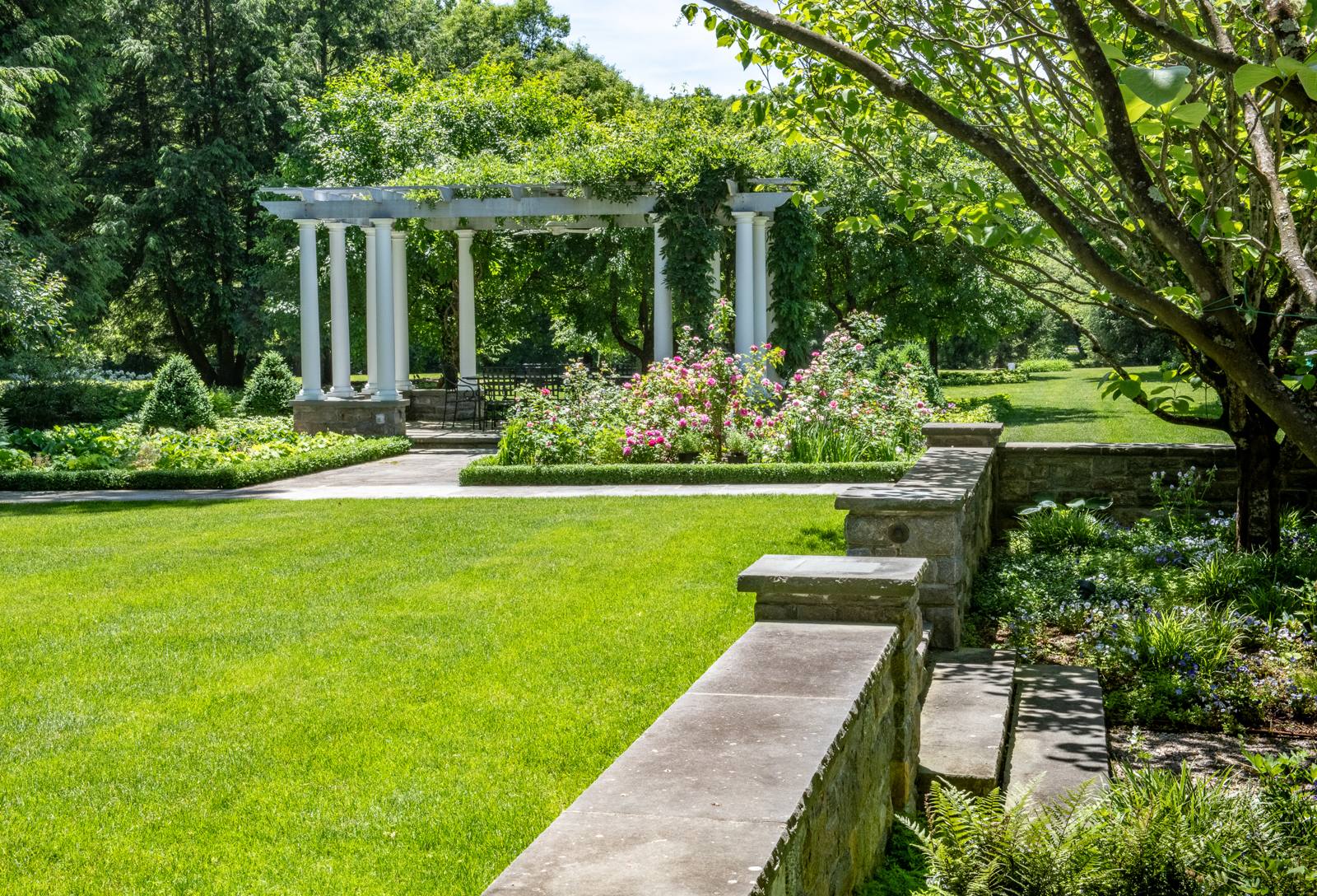 Pergola and rose garden