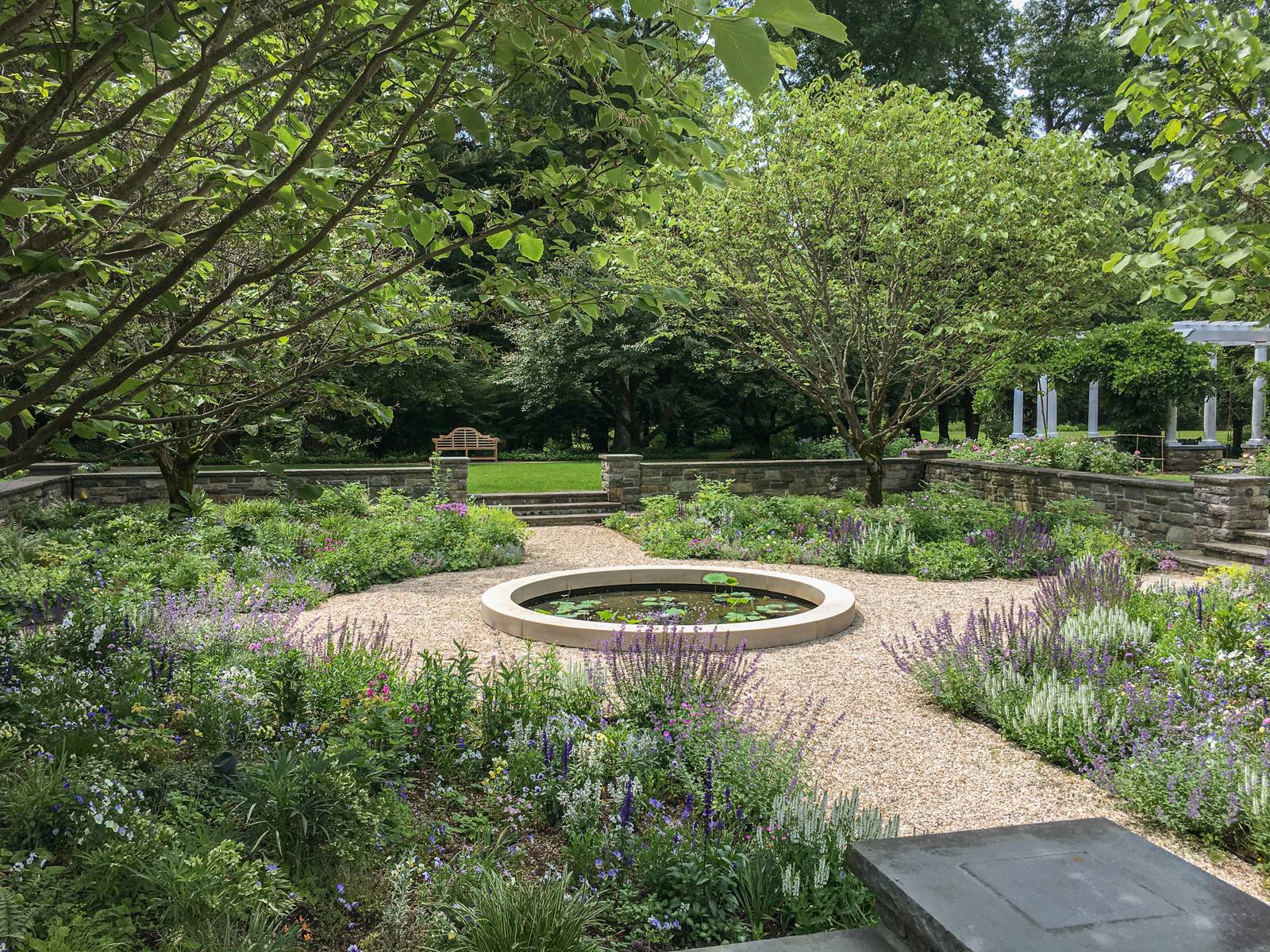Round lily pool in the sunken garden