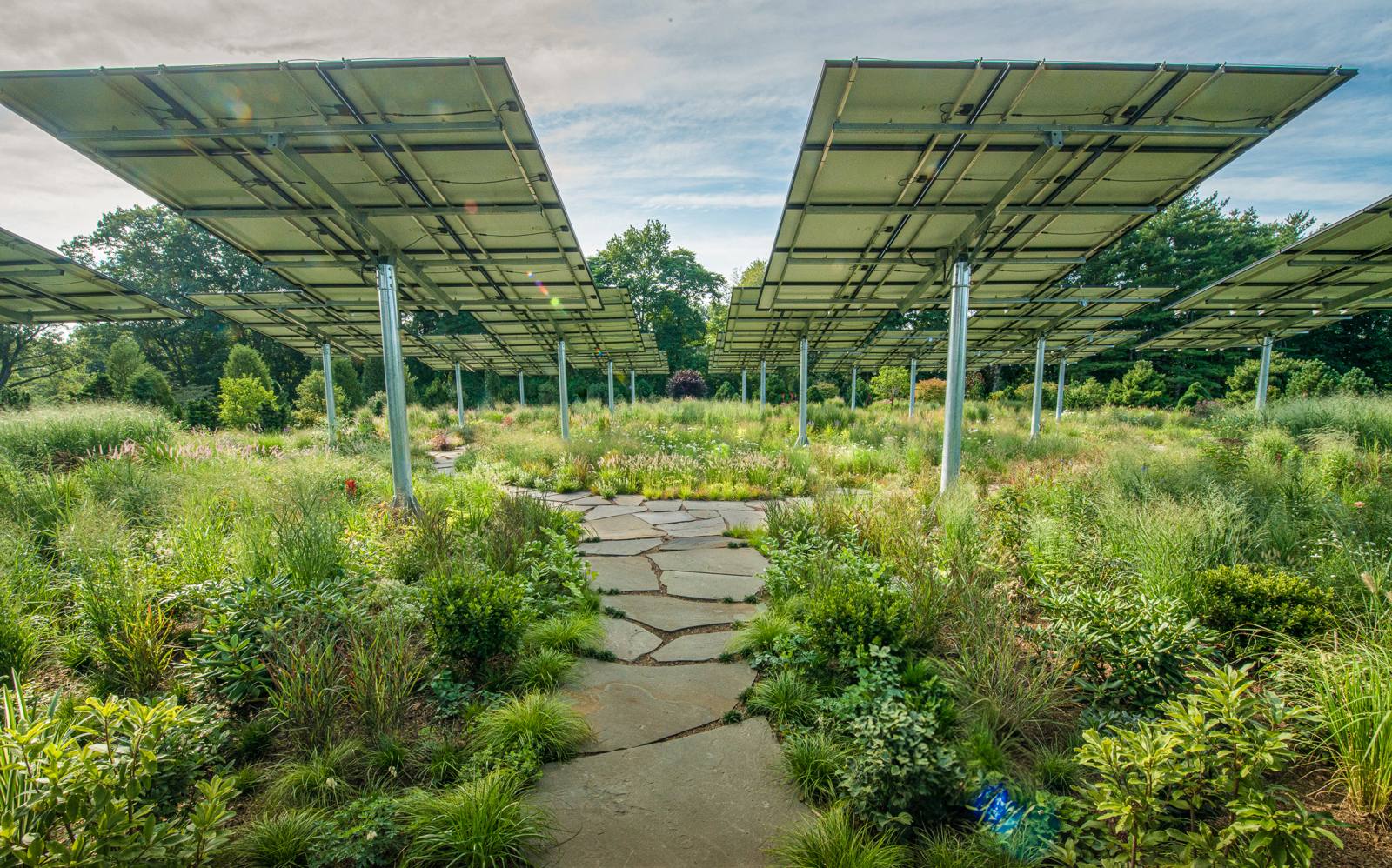 Flagstone path winding beneath solar panels through a meadow garden