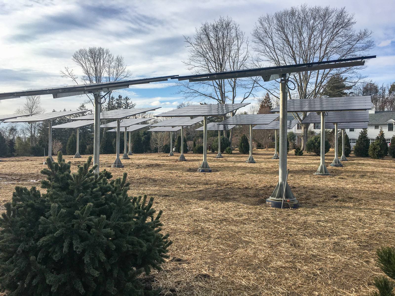 Solar arrays installed before planting