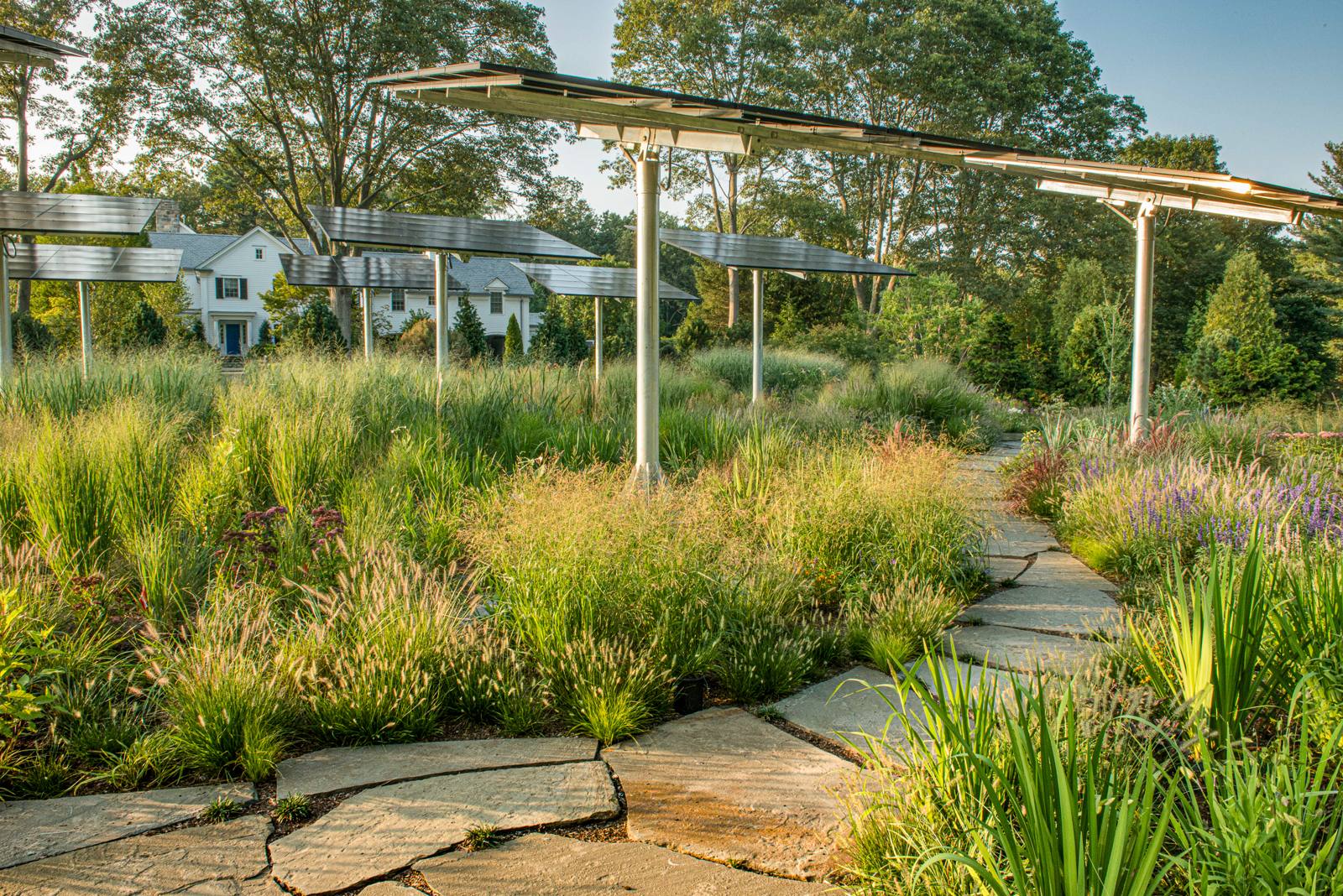 Meadow, flagstone path and a white house beyond the solar panels