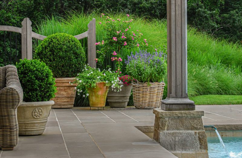 Boxwood spheres, lantana standard and salvia in terra-cotta, stone and wicker containers on a bluestone pool terrace