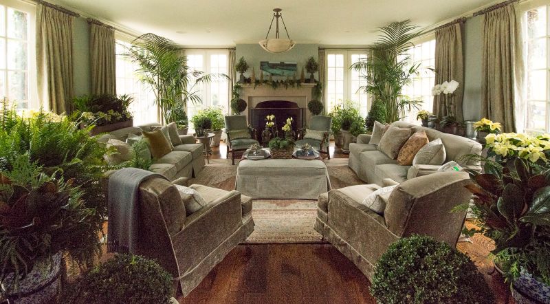 Living room arranged with ferns, magnolia, palms, boxwood and yellow poinsettias for the winter holidays