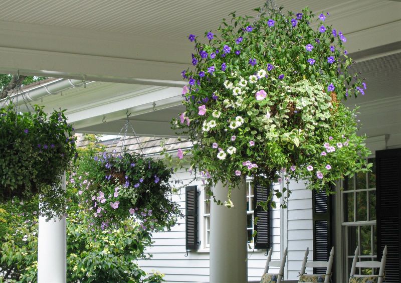 Moss hanging baskets of blue and white flowers along a white front porch