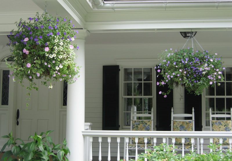 Hanging baskets of purple, pink and white flowers on a porch with rocking chairs