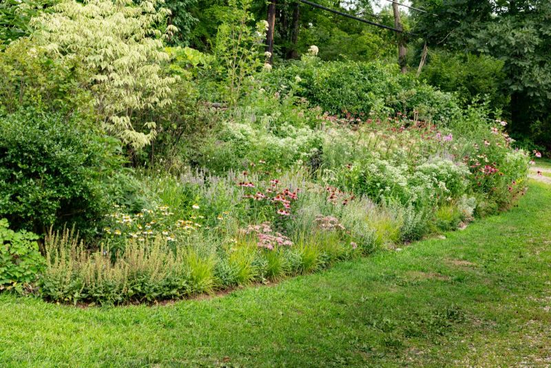 Pollinator border of coneflowers and perennials along the lawn edge