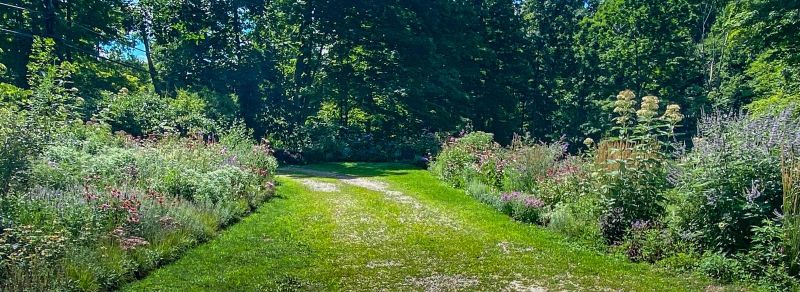 Mown path between two pollinator borders leading toward the woods