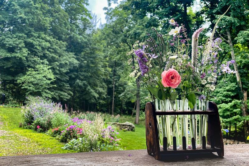 Cut flowers in a vintage test-tube rack with the garden border beyond