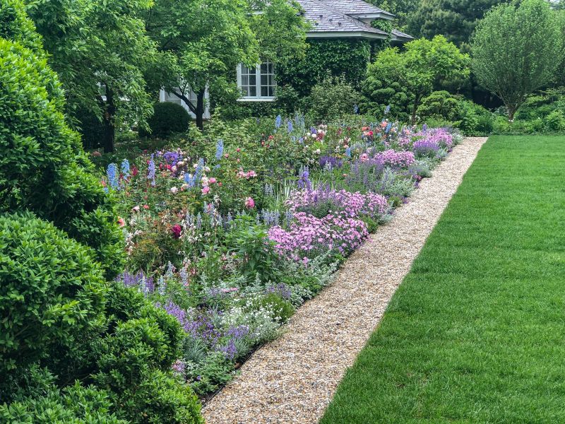 Mixed border of roses, delphiniums and dianthus beside a gravel path