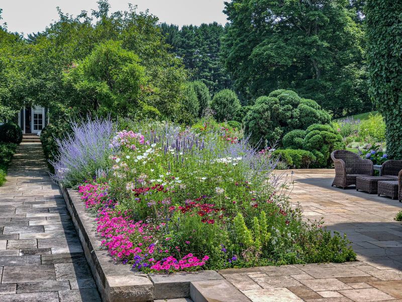 Raised bed of petunias, cosmos and Russian sage between a stone walk and a flagstone terrace