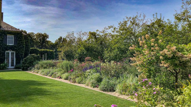Late-summer border of perennials and a pink hydrangea beside the lawn