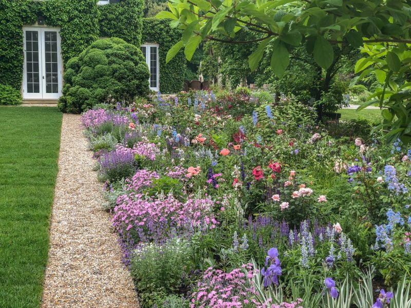 Gravel path beside a flower border below the ivy-covered house with French doors