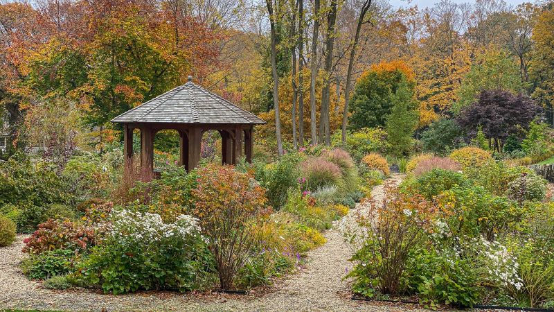 Cedar gazebo among autumn perennials and ornamental grasses along gravel paths