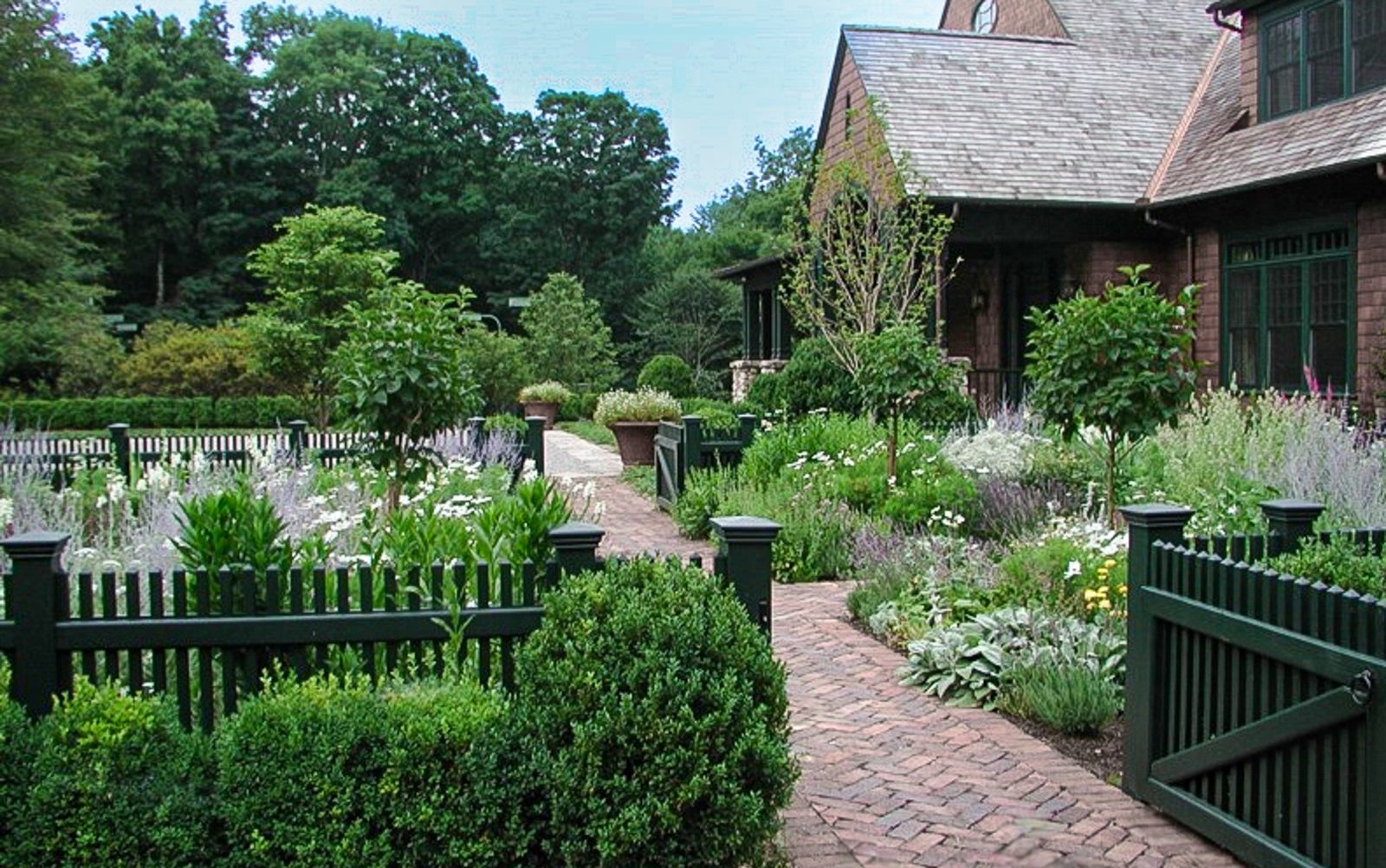 Herringbone brick path curving between picket-fenced perennial gardens of lavender, lamb’s ear and white flowers beside a shingle house
