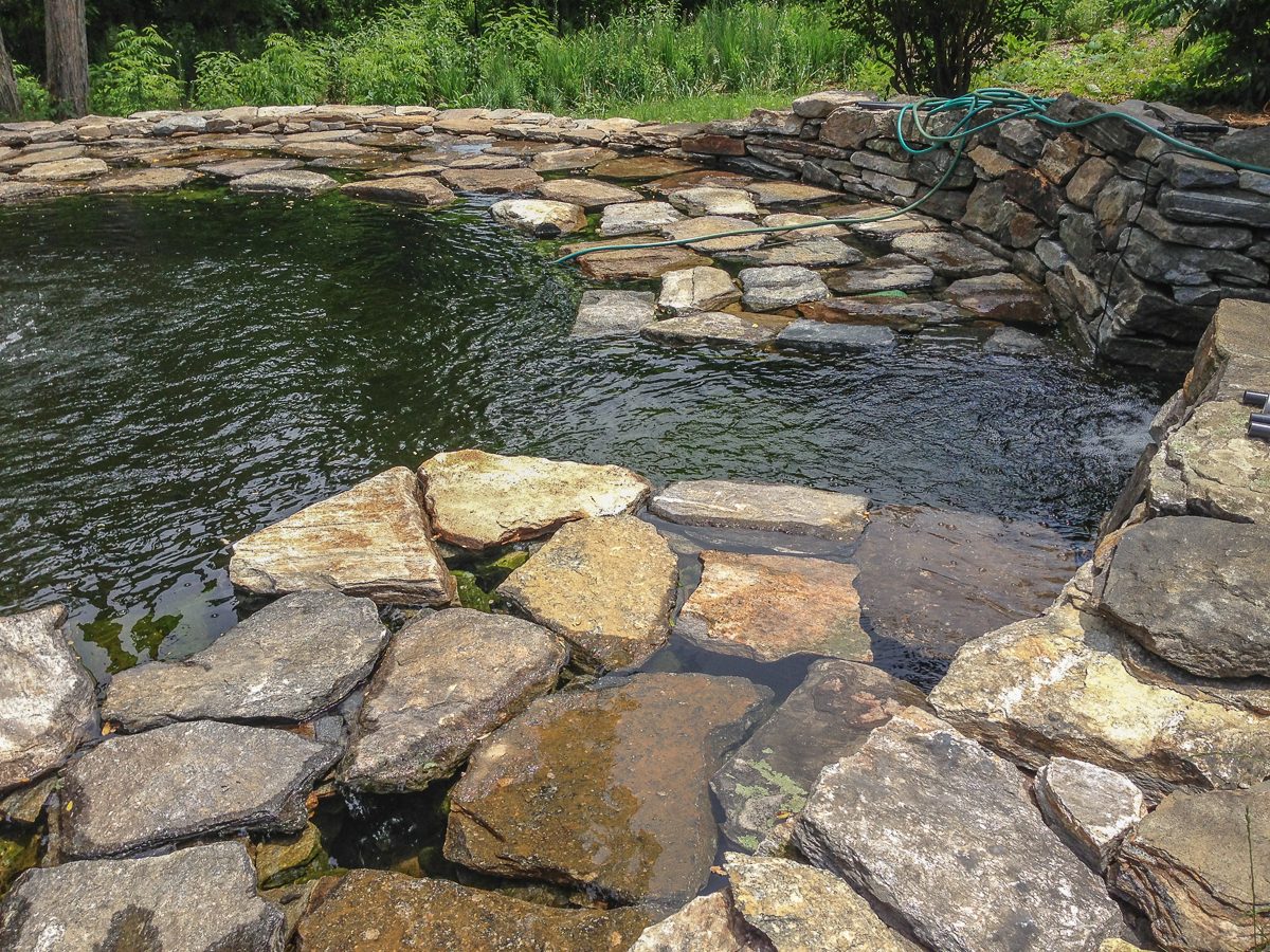 Stepping stones at the edge of a newly filled stone pond